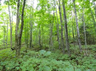 Sec 11 Lost Creeks, Big Bay, MI 49808