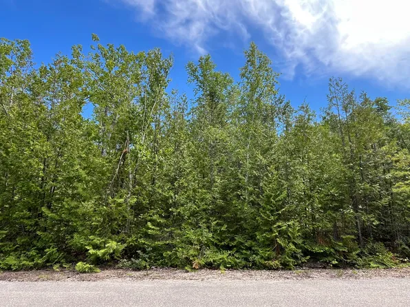 L-212 213 Shoreham Ct, Presque Isle, MI 49777