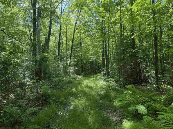 WONDER ROAD, Hackett, WI 54555