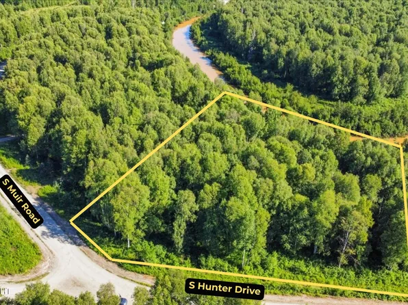 L55 S Hunter Dr, Willow, AK 99688