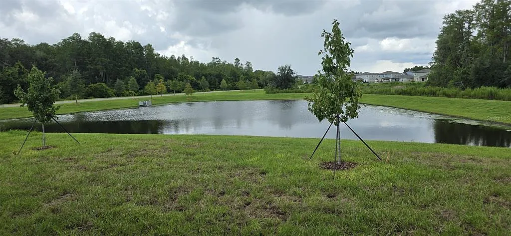 5 bed, 4.5 bath, 3200 sqft, $4,300 — Photo 3