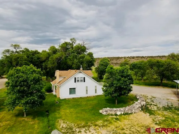 22514 Oxford Road, Eckert, CO 81418