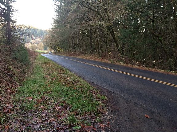 Road frontage facing SE