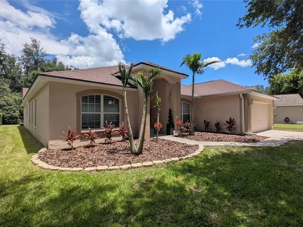 6006 Shearwater Ln, Lithia, FL 33547