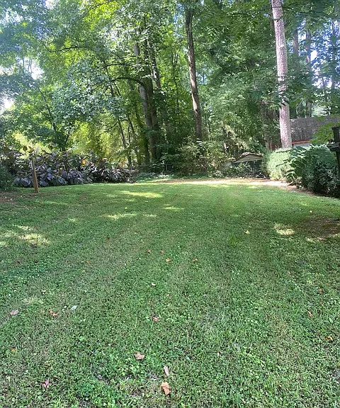 4034 Cheoah Dr — Photo 6