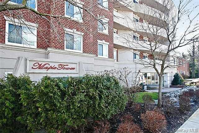 1st image of 242 Maple Avenue #604