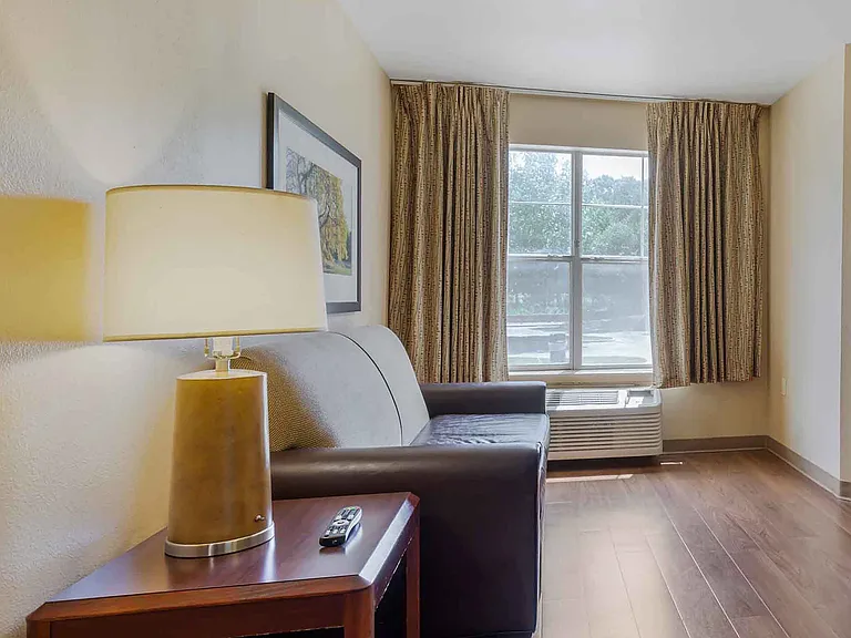 1 Bedroom Suite - 1 King Bed