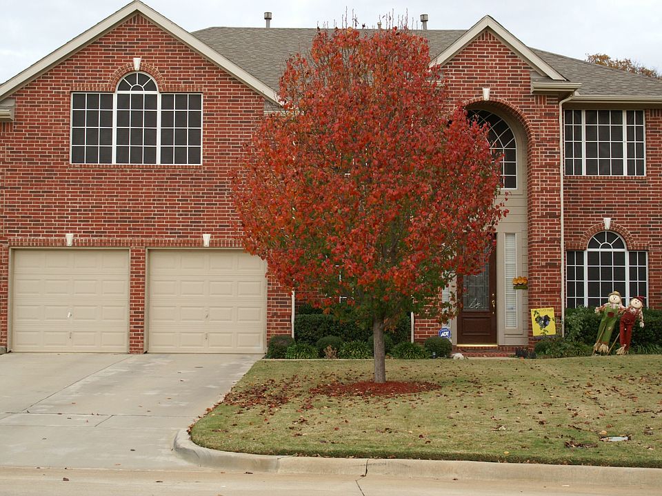 Curb Side (Nov)
