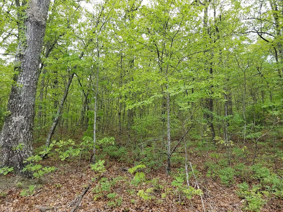 1st image of 249 Mountain Laurel Ln