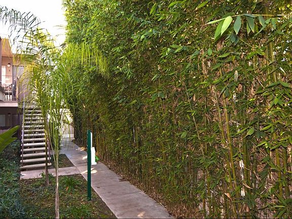 4827 Niagara Avenue San Diego, CA 92107-Elan Pacific Palms Apartment Homes Walkway