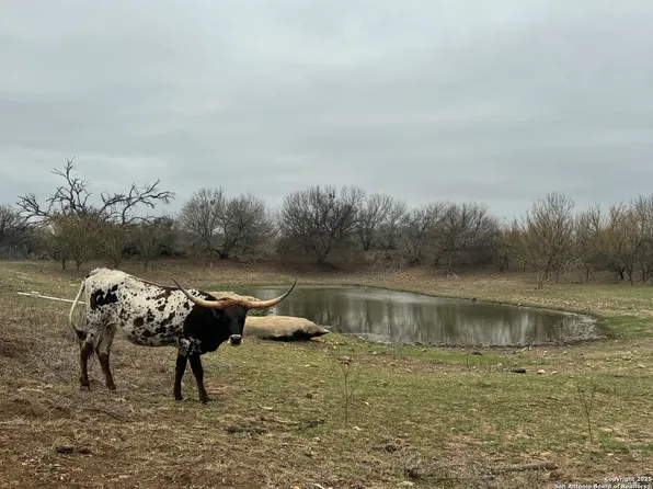 3075 County Road 5710, Devine, TX 78016