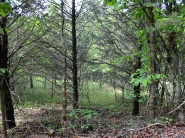 0 Circle Rd, Burkesville, KY 42717