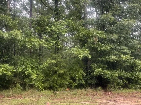 Ernest Dr, Ragley, LA 70657