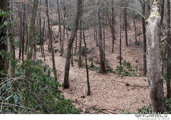3rd image of State Route 1260 Hickory Mountain Ln