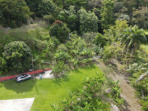 4th image of 924 Bo Collores