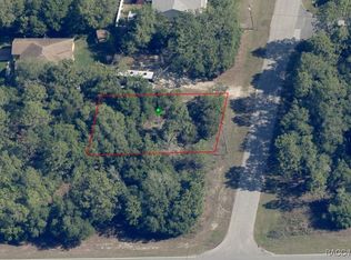 6697 N Bedstrow Blvd, Citrus Springs, FL 34434