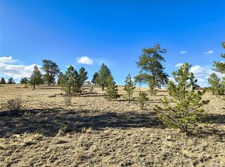 415 Olympic Circle LOT 315, Hartsel, CO 80449