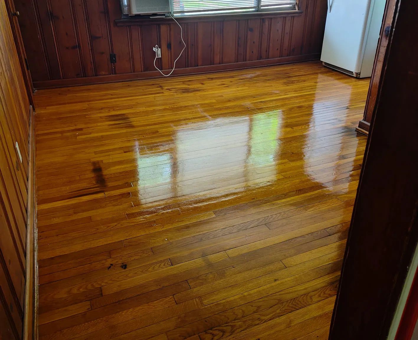 1 bed, 450 sqft, $795 — Photo 2