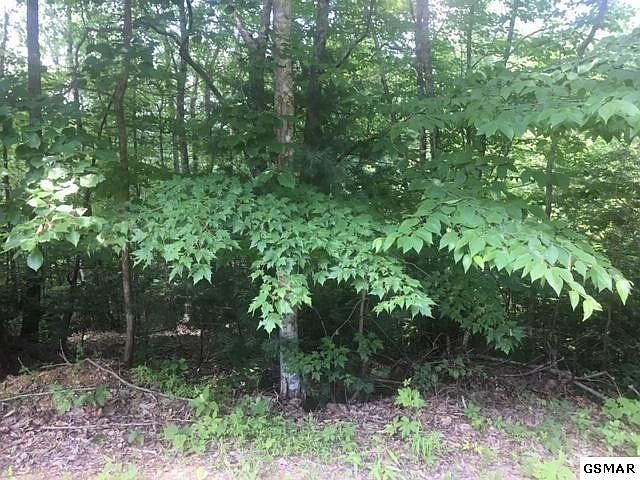 1st image of 472 Ski View Ln Lot 472