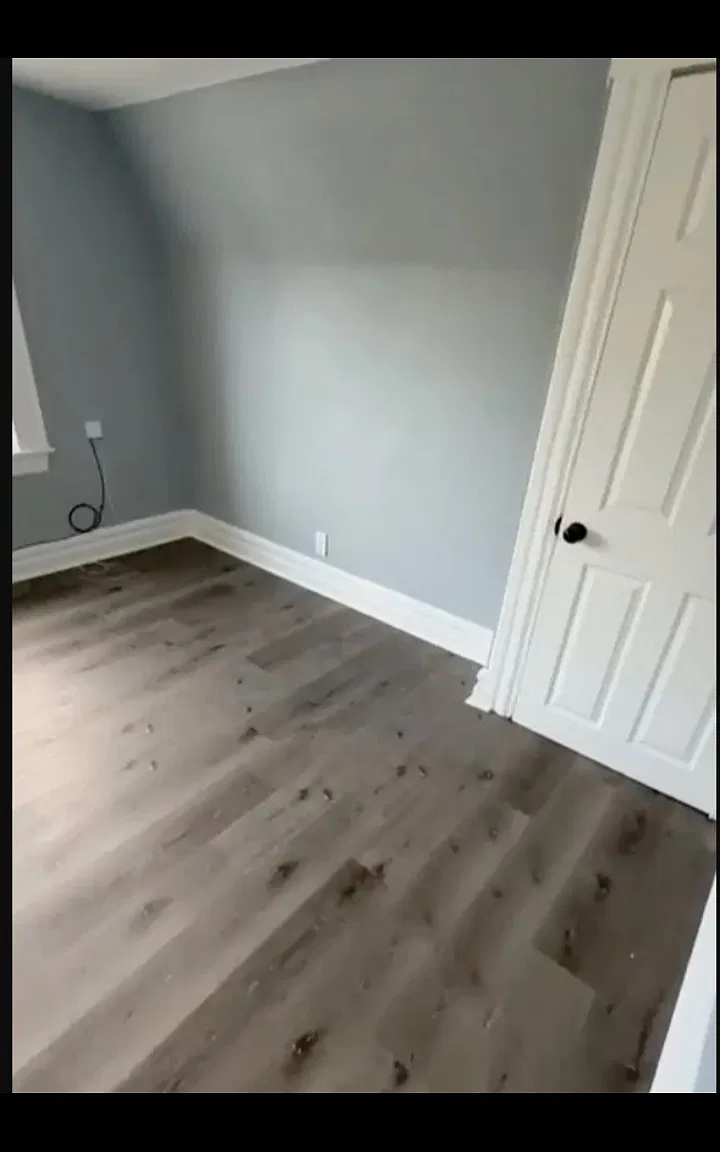 1 bed, $1,500 — Photo 2
