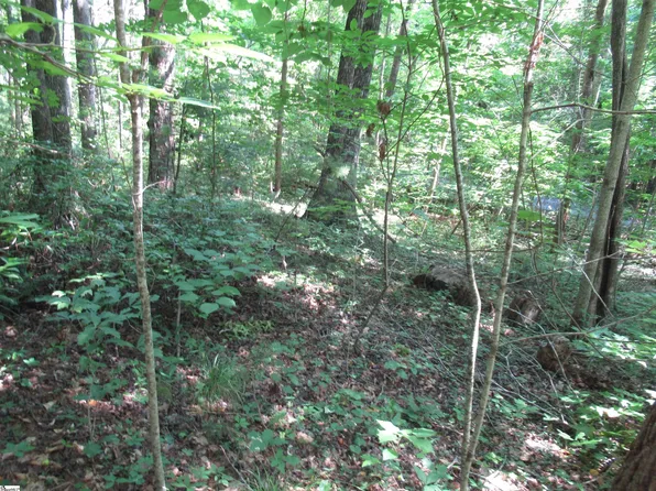 0 Gauley Falls Rd Lot 13, Pickens, SC 29671
