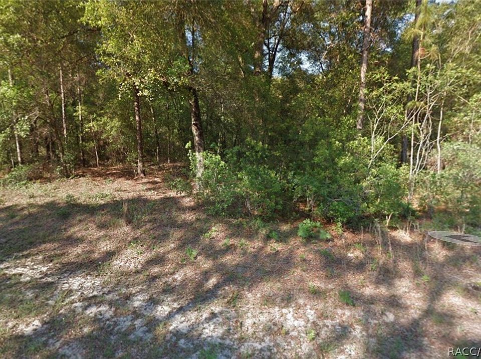 1st image of 11048 N Adler Dr