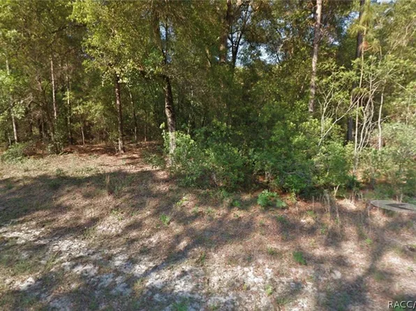 11048 N Adler Dr, Citrus Springs, FL 34434