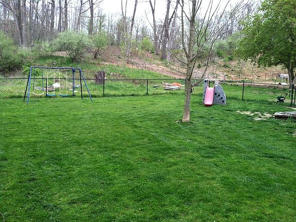 back yard