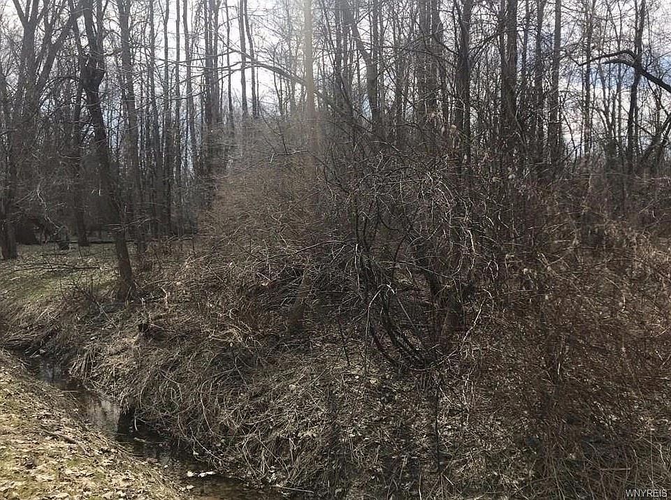 2nd image of 264 Stony Rd