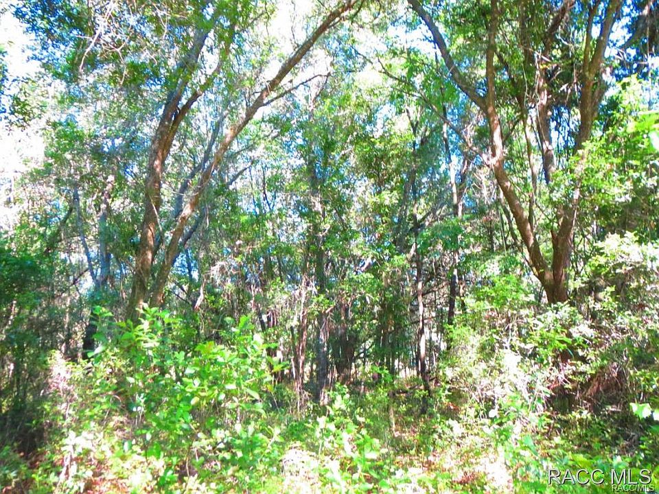 2nd image of 3448 E Foliage Ln