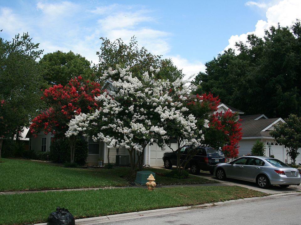 Home from the street