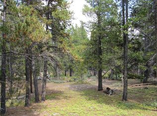 Tbd Venture Rd, Fairplay, CO 80440