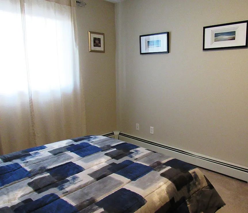 2 bed, 1100 sqft, $2,795 — Photo 4
