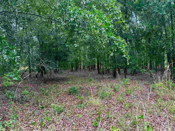 0 NE Jacaranda Ter, Lee, FL 32059
