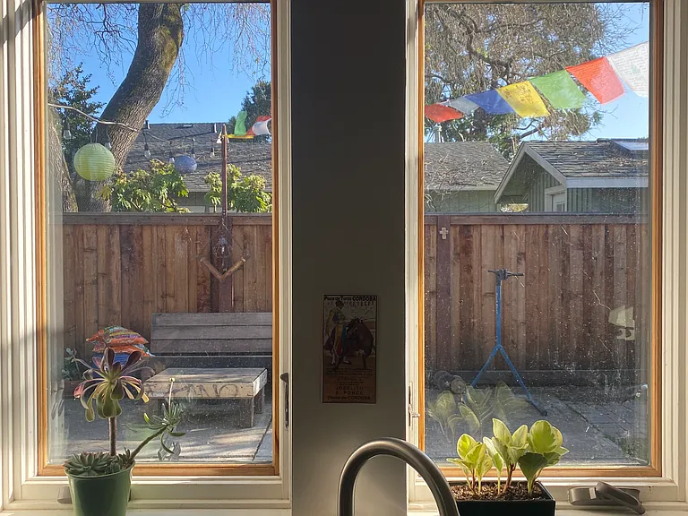View to private yard from kitchen window