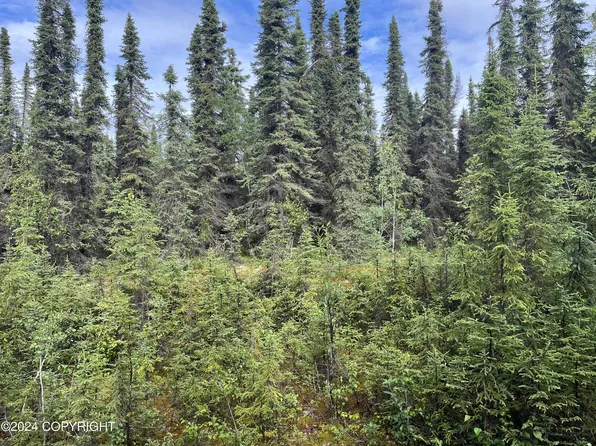 36414 Goodyear St N, Soldotna, AK 99669