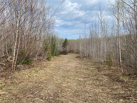 5th image of Near Wilson Lake Rd