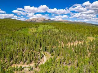 0 Ten High Ln, Fairplay, CO 80440