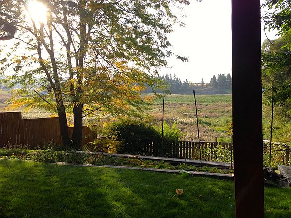 View out back.