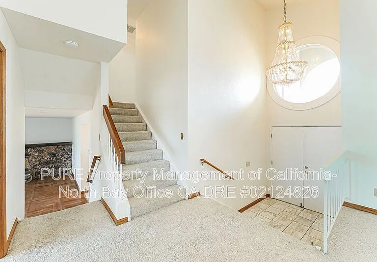 4987 Fern Pl — Photo 3