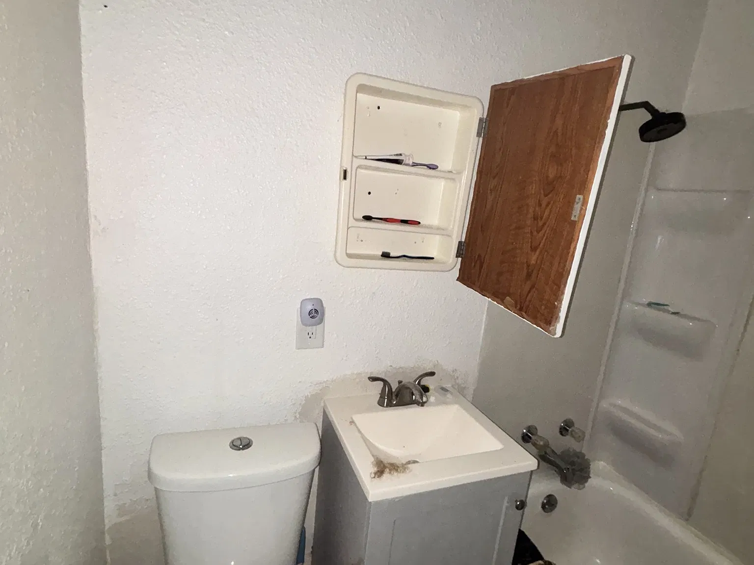 3 bed, 900 sqft, $961 — Photo 3