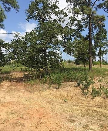 5th image of 130 Village Forest Dr