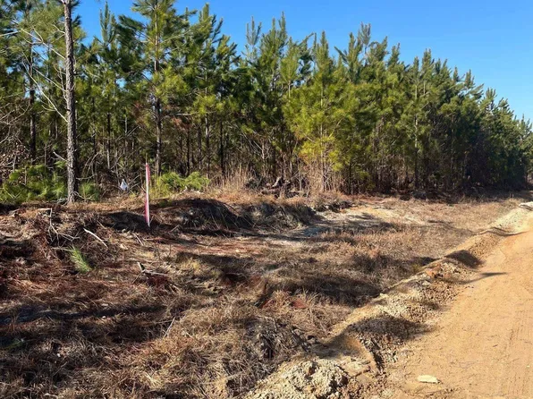 Bff Ii 8 Brunson Teal Rd, Patrick, SC 29584