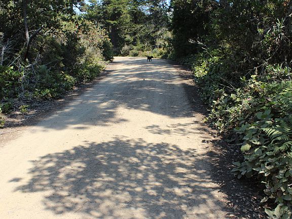 Road to parcel (~1/3 mile)