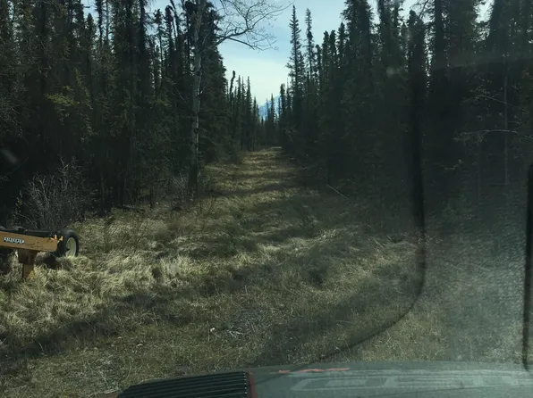Mi 115 5 Richardson Hwy, Glennallen, AK 99588