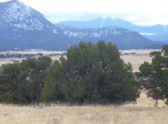 5th image of Colorado Land And Grazing Lot 55