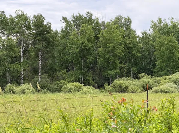 Tbd Highway 65, Nashwauk, MN 55769