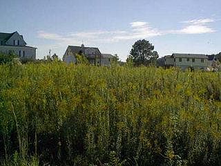 1st image of 346 COUNTRY CLUB LOT 269