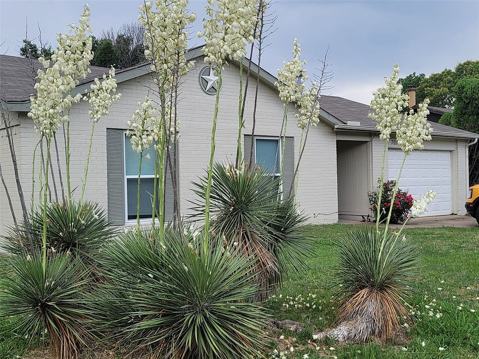 1st image of 7024 Chapman Dr