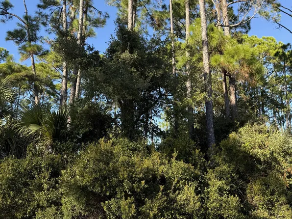 123 Cottage Ln, Pt Saint Joe, FL 32456